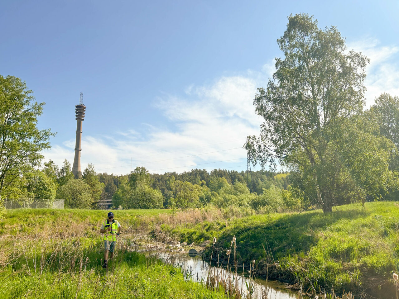 Kesäinen kuva Turun Jaaninojalta. Taustalla Pääskyvuoren linkkitorni.