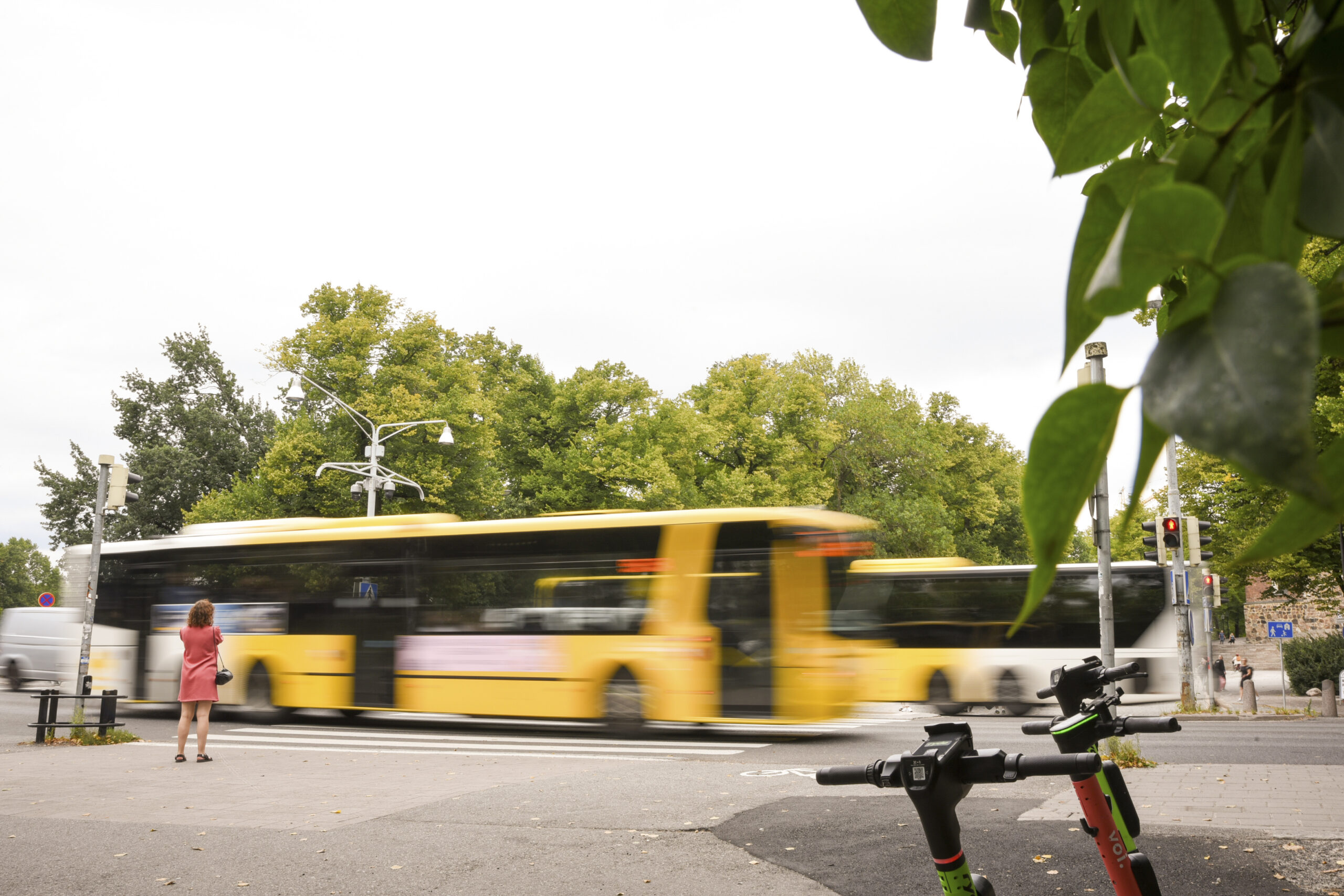 Bussiliikennettä Tuomikirkon edustalla olevalla suojatiellä